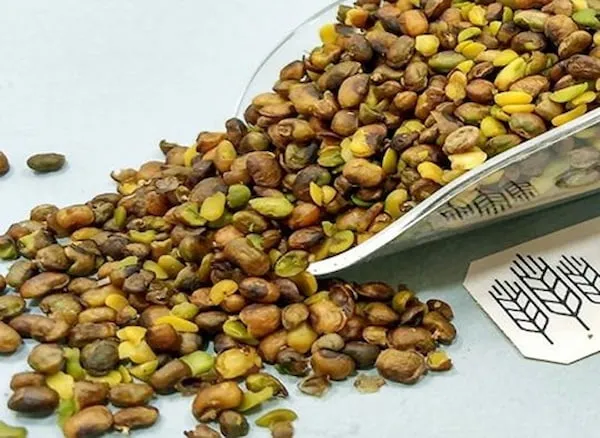 بهترین پسته مغز بو داده + قیمت خرید عالی