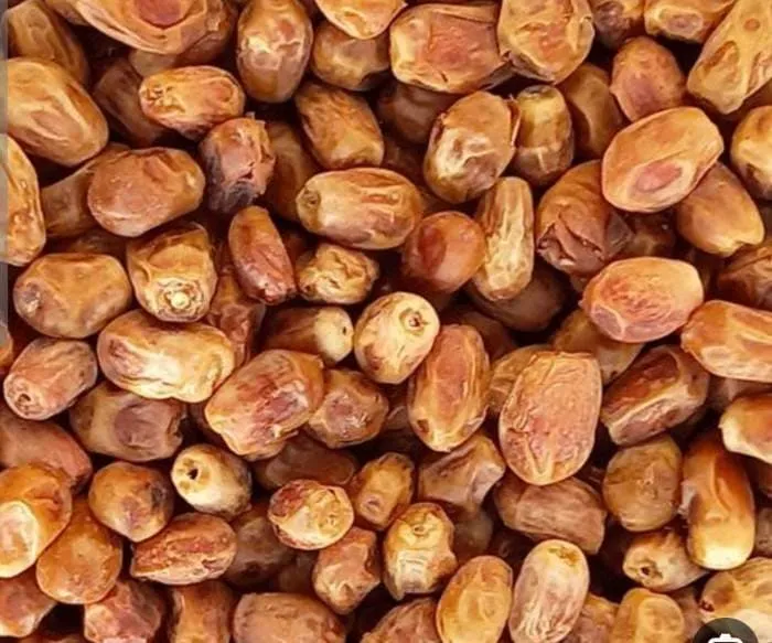 بهترین خرما زاهدی جنوب کدام است؟ + مقایسه کامل | قیمت عالی
